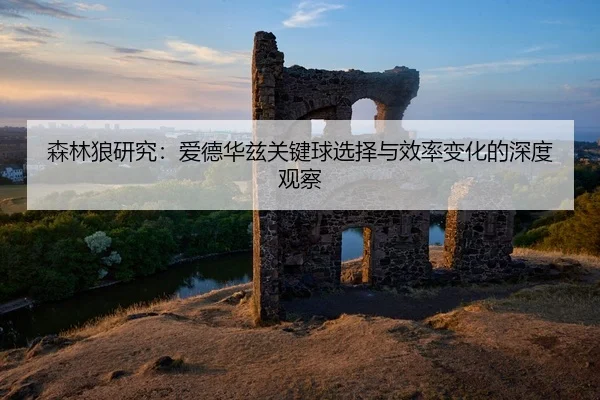 森林狼研究：爱德华兹关键球选择与效率变化的深度观察