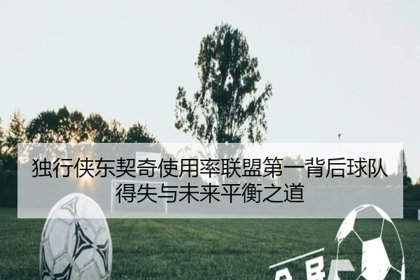 独行侠东契奇使用率联盟第一背后球队得失与未来平衡之道